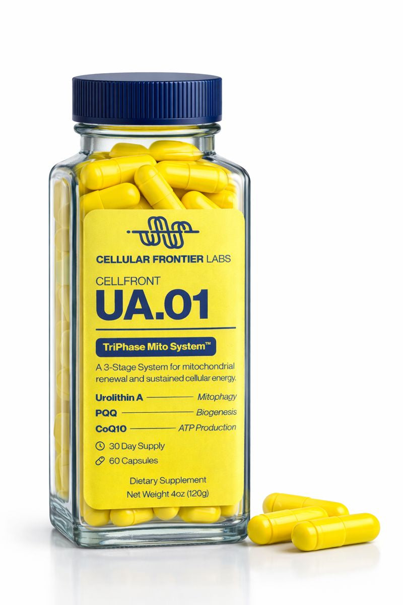 UA.01 supplement bottle featuring clinical doses of Urolithin A, CoQ10, and PQQ sustained cellular energy.